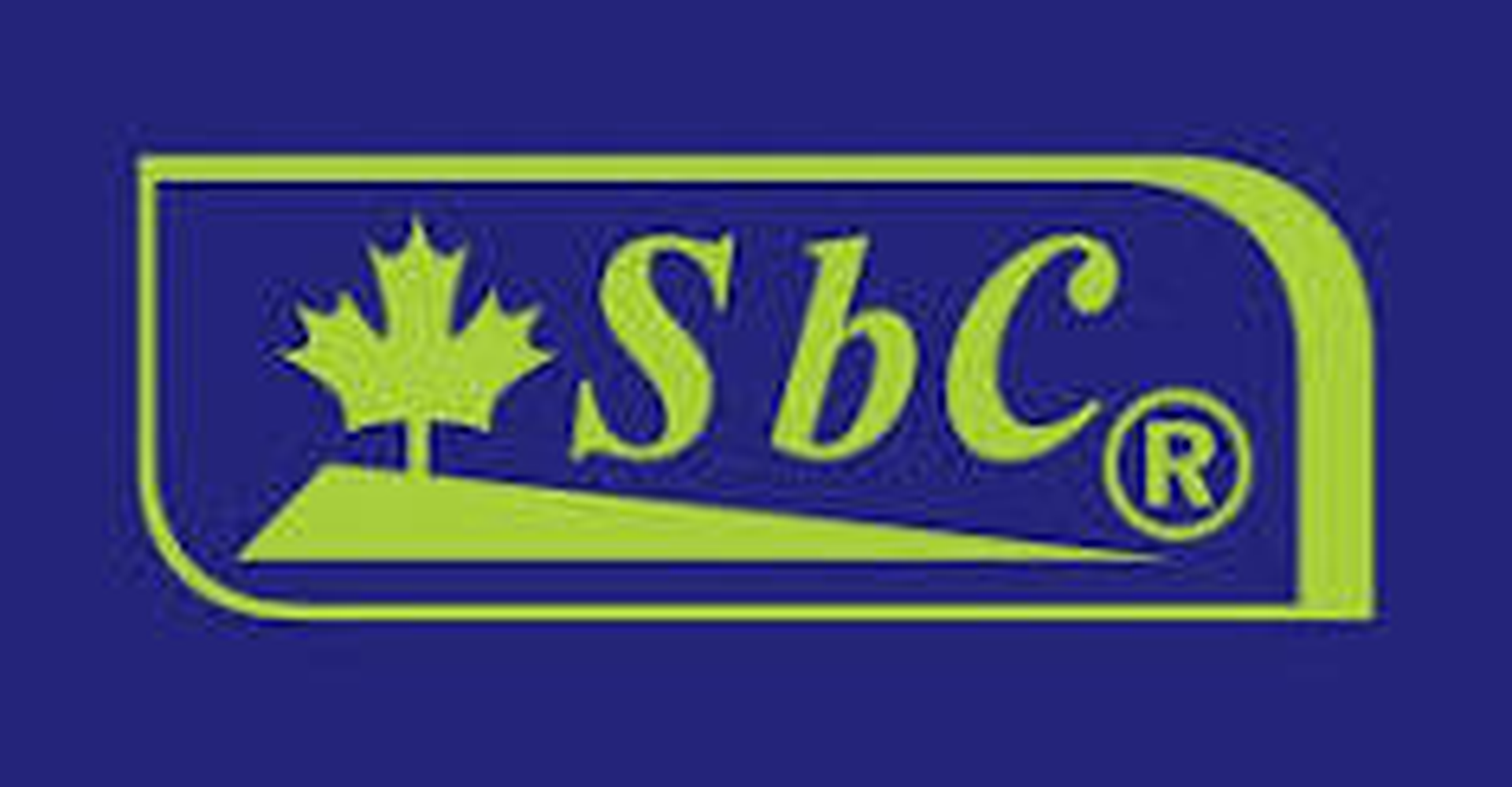 شركة نجوم البردي للقرطاسية ومعدات المطابع