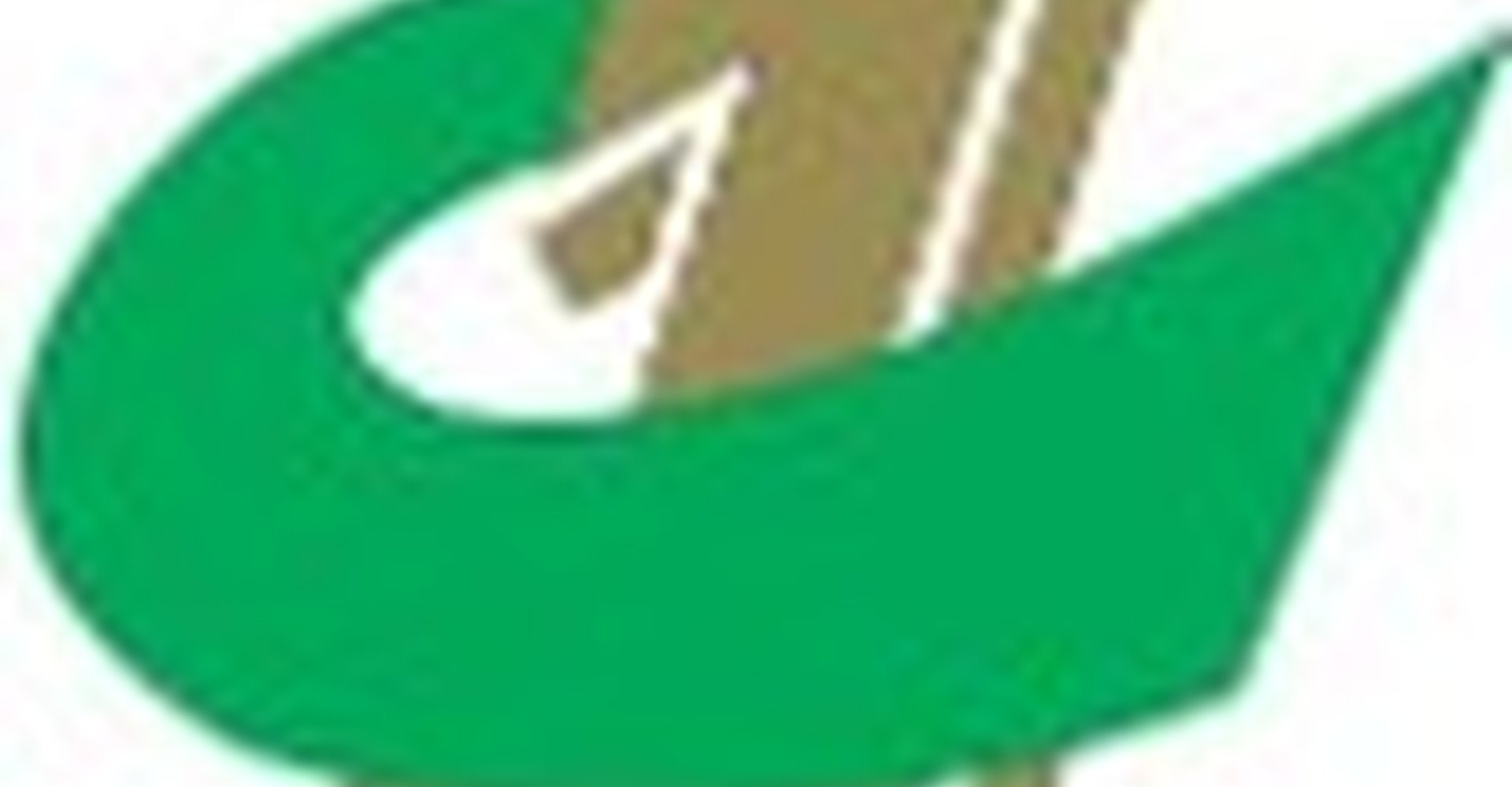 وكالة العلم الأول للدعايةوالإعلان